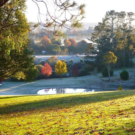 Lookout Mountain Retreat Motel Dorrigo Luaran gambar