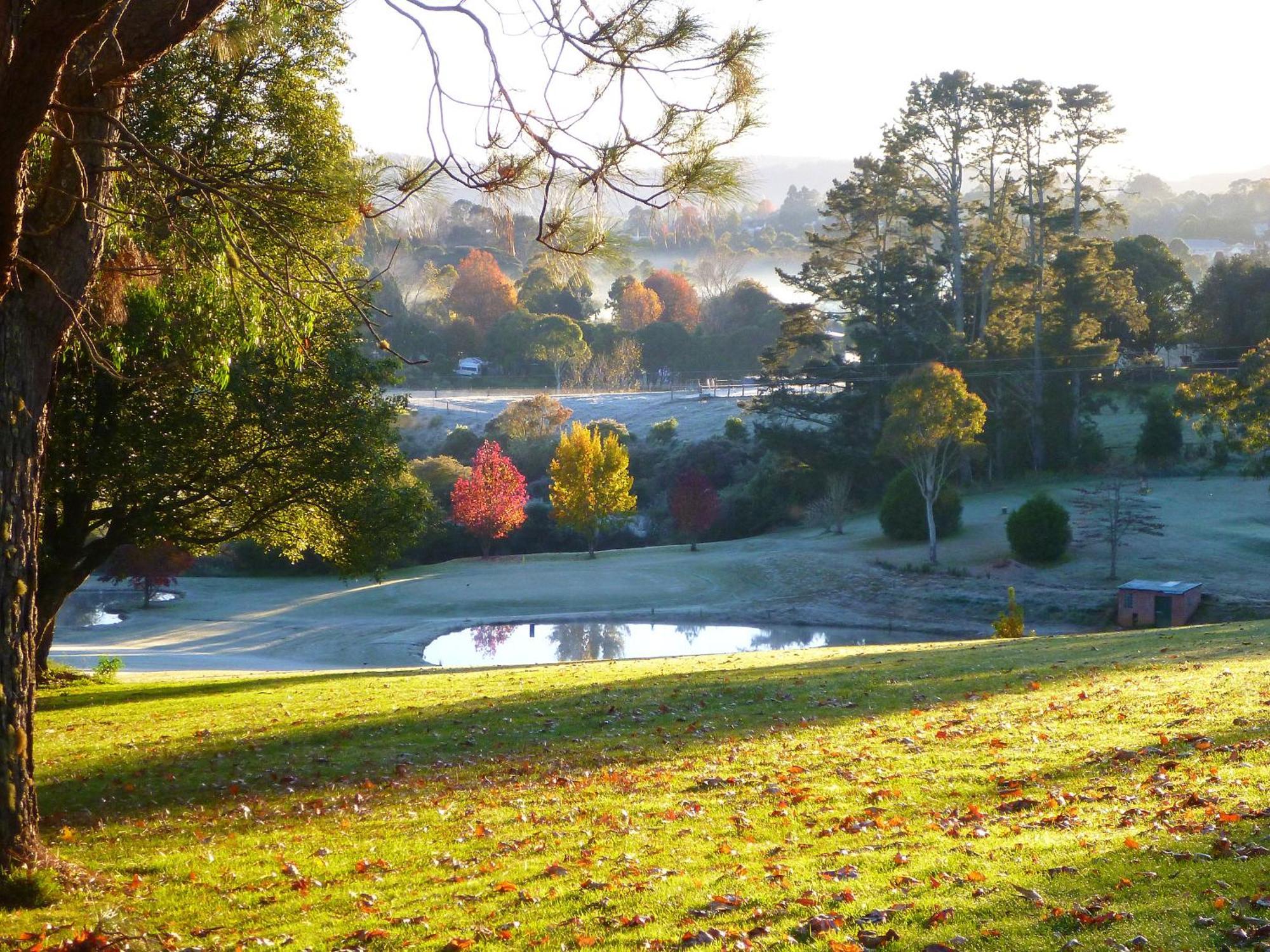 Lookout Mountain Retreat Motel Dorrigo Luaran gambar