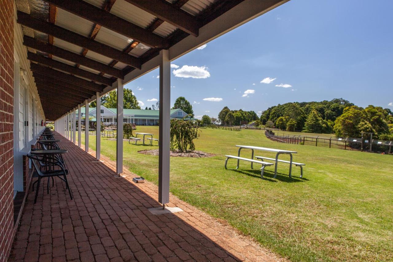 Lookout Mountain Retreat Motel Dorrigo Luaran gambar
